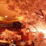 120409_194336-225×300