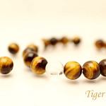 20141204tigerey498_332