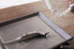 white-sage-106561_b3_700