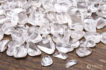 acacia-sazare-100613_b2_700