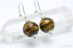 tigerseye-pierce-009544_b1_700